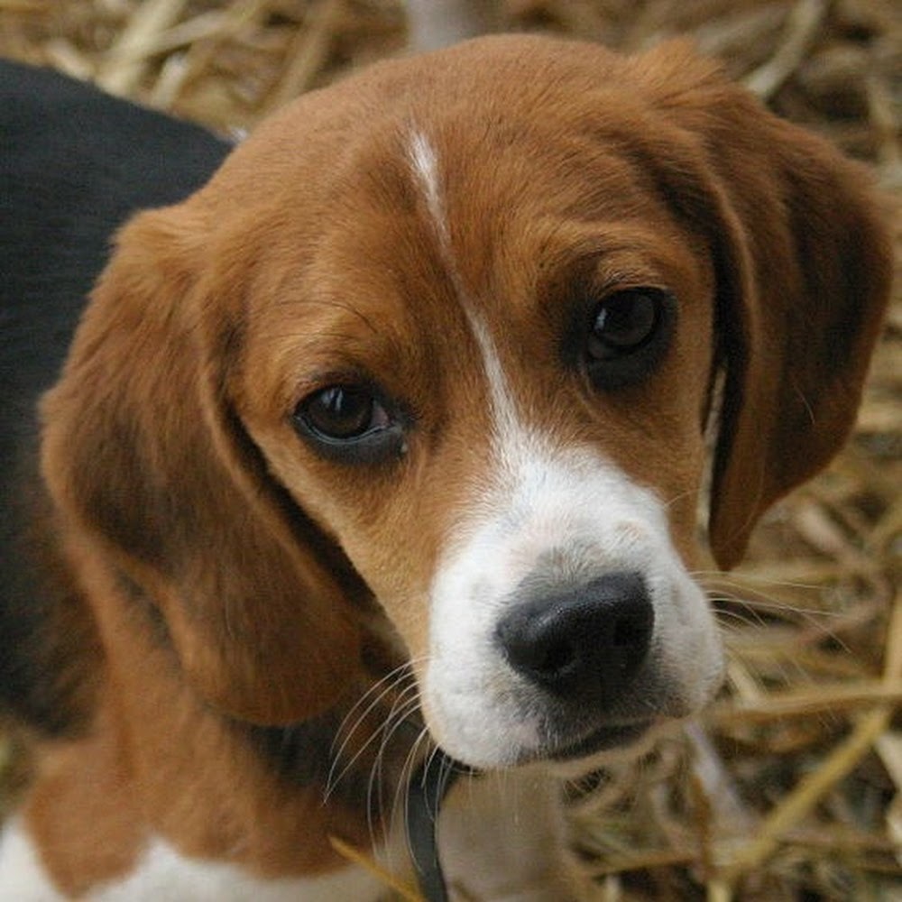 Meet your Posher, Liz